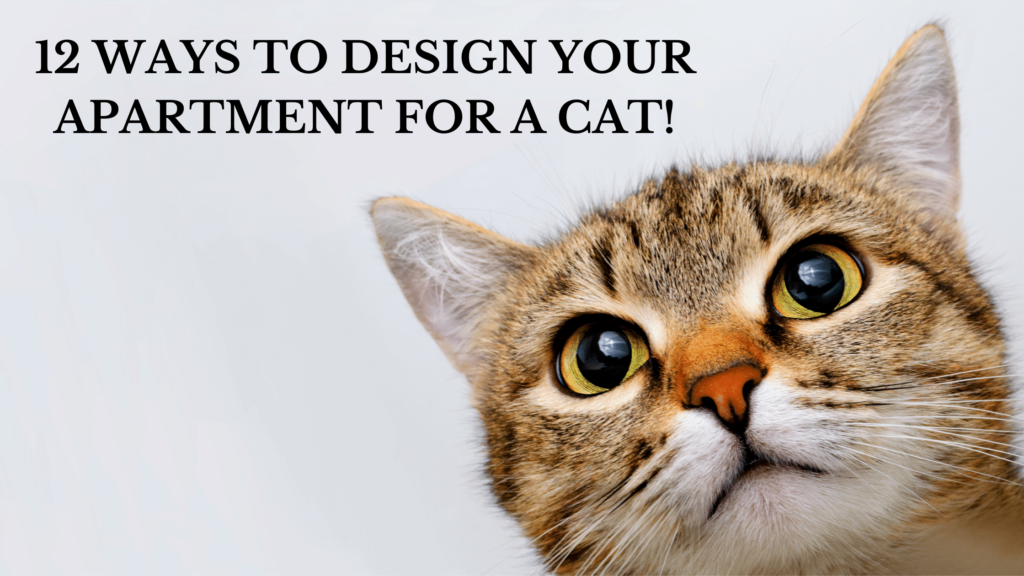 12 ways to design your apartment for cats