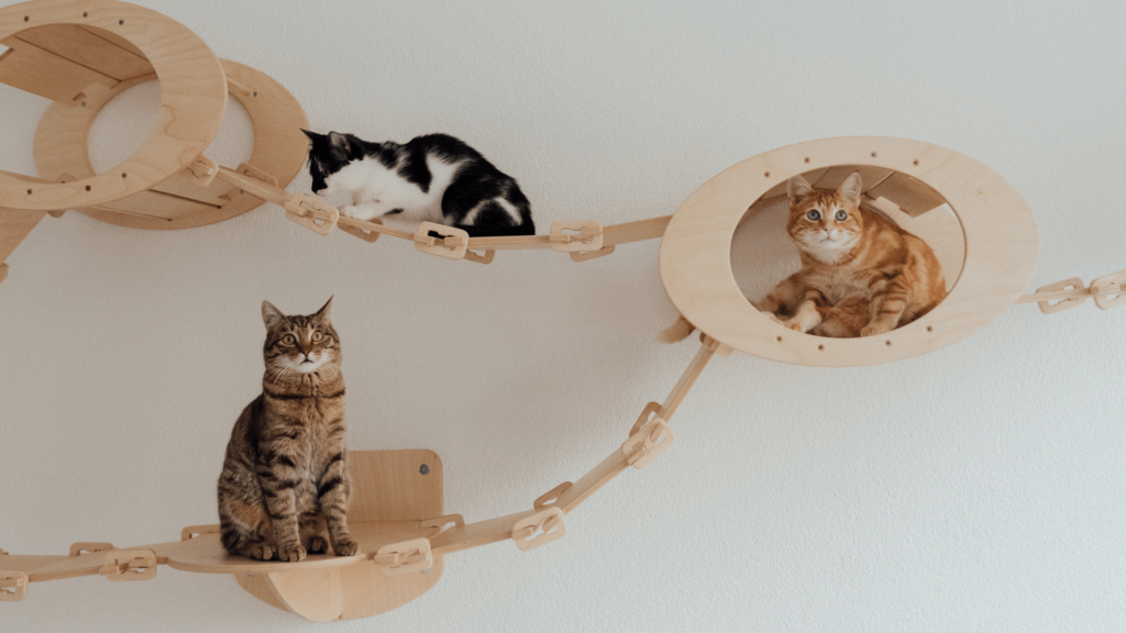 Cat shelve houses for small apartment