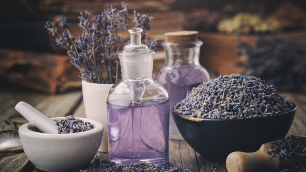 Lavender Essential Oil and its benefits