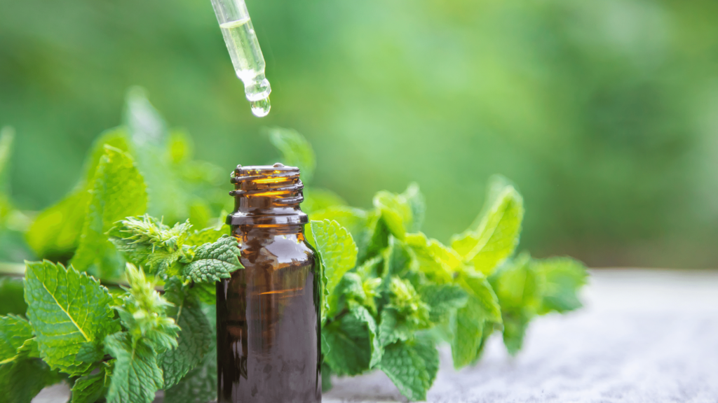 Peppermint Essential Oil and it's benefits
