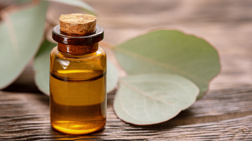 Eucalyptus essential oil for skincare
