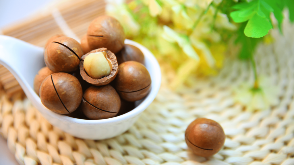 Is macadamia nuts good for dogs?