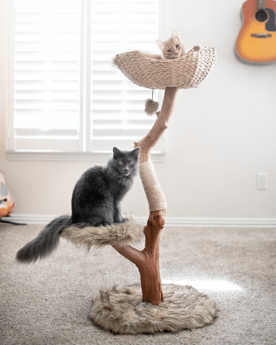 16 of the Best Cat Trees for Large Cats Best Stuff Hub