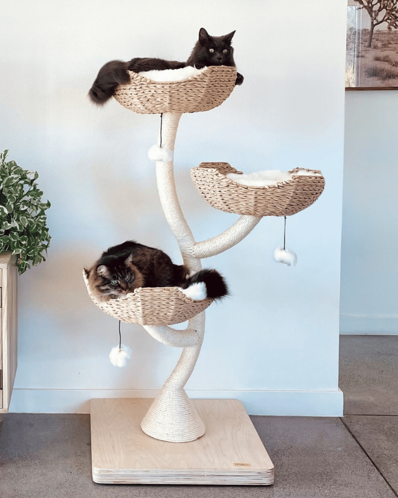 Wooden Cat trees for large cats